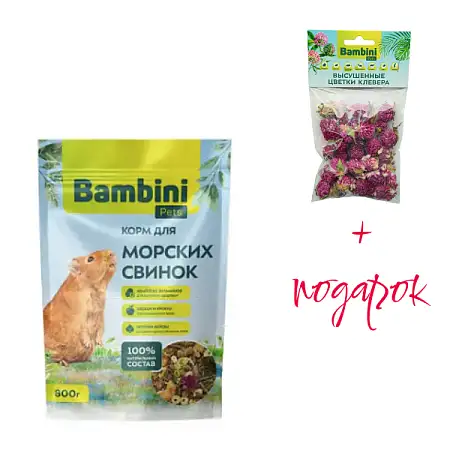 Купить bambini pets Сухой корм для морских свинок + лакомство «bambini pets» цветы клевера в ПОДАРОК